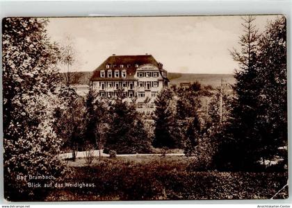 52073020 - Bad Brambach