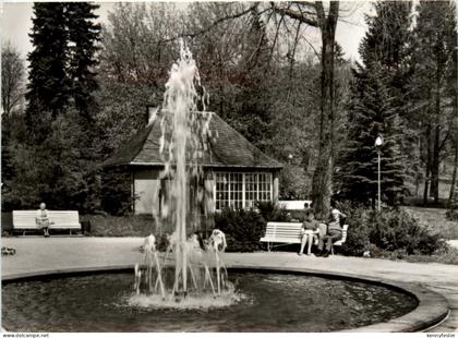 Bad Brambach, Schillerquelle