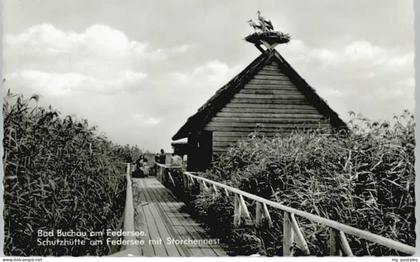 Bad Buchau Federsee Schutzhuette Storchennest