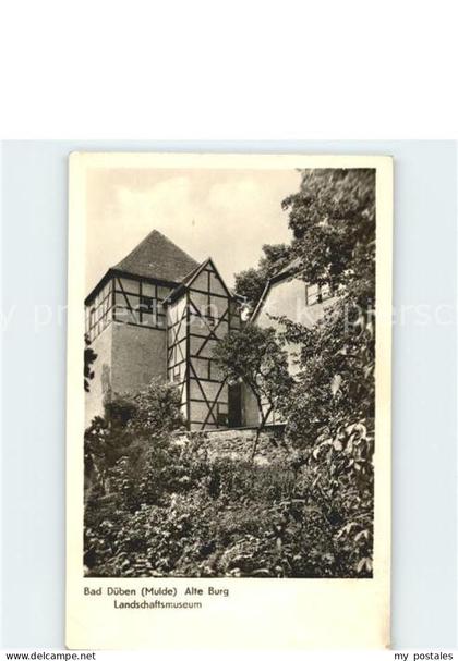 Bad Dueben Alte Burg Landschaftsmuseum