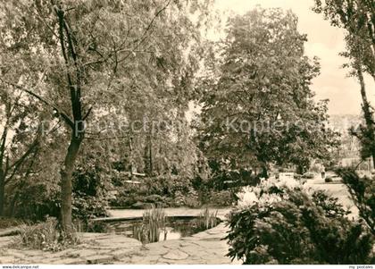 Bad Dueben Seerosenteich Kurpark