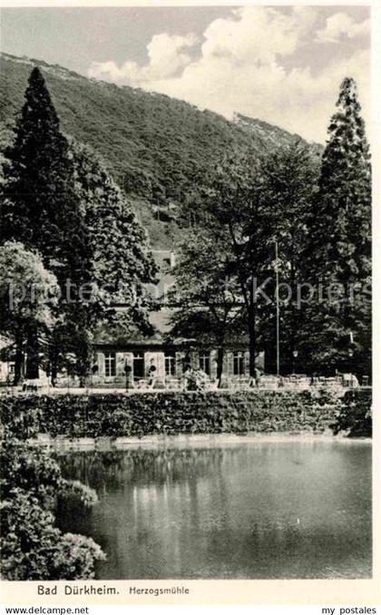 Bad Duerkheim Herzogsmuehle