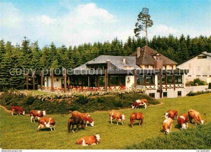 Bad Duerrheim WaldCafe