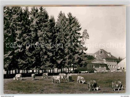 Bad Duerrheim WaldCafe