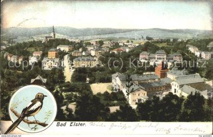 Bad Elster Panorama