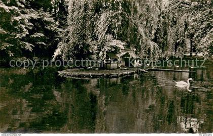 Bad Essen Muehlenteich