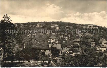 Bad Frankenhausen Weinberg