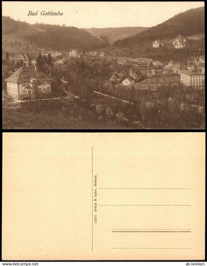 Ansichtskarte Bad Gottleuba-Bad Gottleuba-Berggießhübel Stadtpartie 1923