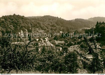 Bad Gottleuba-Berggiesshuebel Panorama