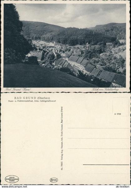 Ansichtskarte Bad Grund (Harz) Stadtpartie 1929