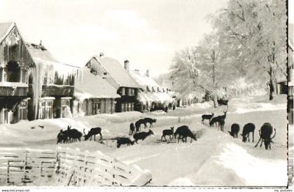 Bad Harzburg Molkenhaus Harz bei Bad Harzburg