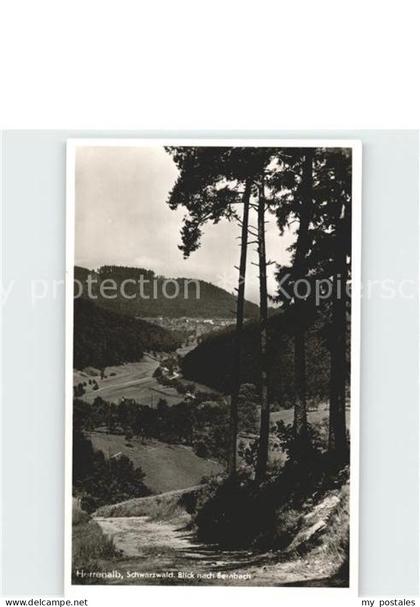 Herrenalb Bad Herrenalb Bernbach