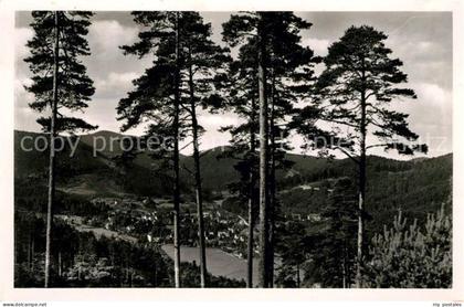 Herrenalb Bad Herrenalb Panorama