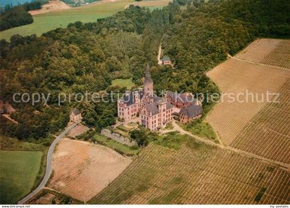 Bad Hoenningen Fliegeraufnahme Schloss