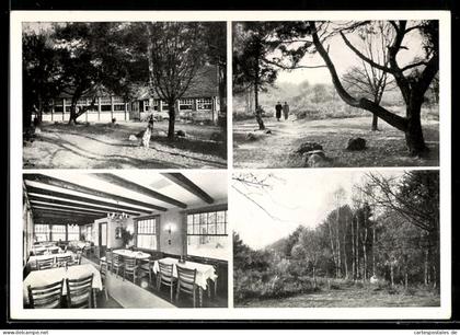 AK Klein-Eichen bei Königsforst, Café-Restaurant Heideblick, Inh. Carl Kretzer