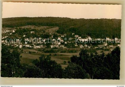 Bad Koenig Odenwald Panorama