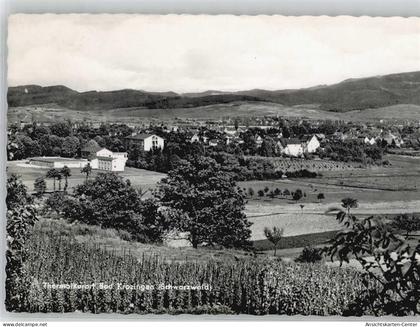 51489518 - Bad Krozingen