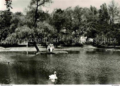 Bad Lausick Schwanenteich