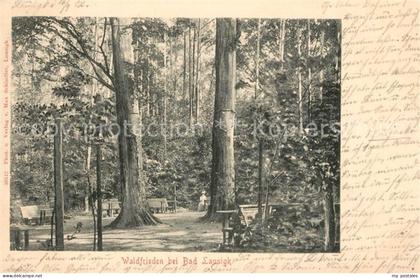 Bad Lausick Waldfrieden