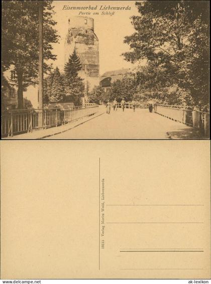 Ansichtskarte Bad Liebenwerda Schloss und Lubwartturm 1920