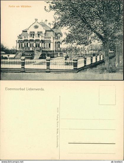 Ansichtskarte Bad Liebenwerda Villa im Wäldchen 1913