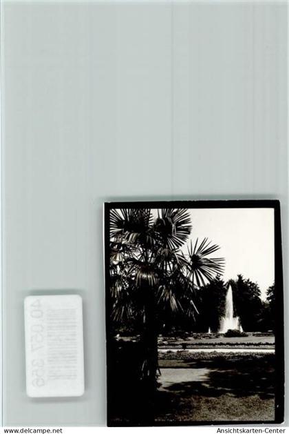 40057356 - Bad Lippspringe