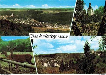 Bad Marienberg Panorama Kirche Rehe
