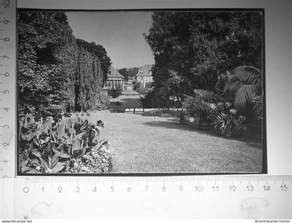 30115114 - Bad Meinberg