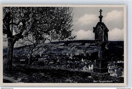 51593058 - Bad Mergentheim