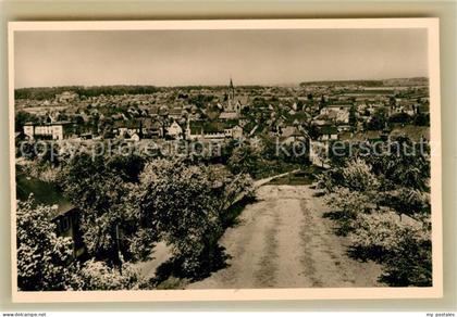 Bad Rappenau Panorama