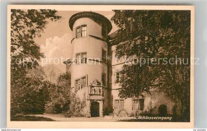 Bad Rappenau Schlosseingang