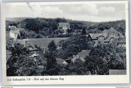 50621274 - Bad Rothenfelde