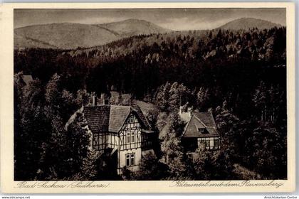 51442730 - Bad Sachsa