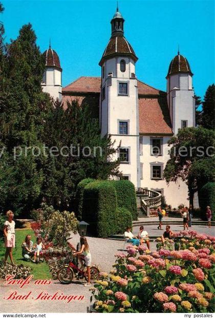 Bad Saeckingen Trompeterschloss