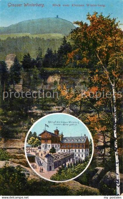 Grosser Winterberg Blick vom Kleinen Winterberg Berghotel