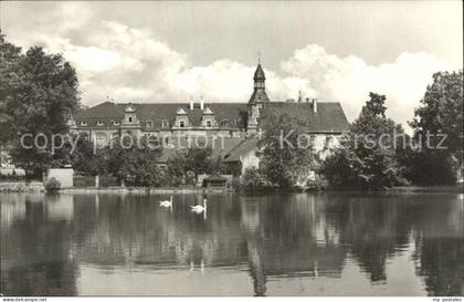 Bad Schmiedeberg Schwanenteich