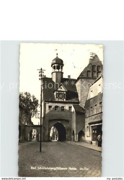 Bad Schmiedeberg Tor