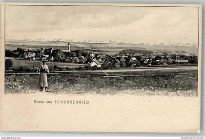 13298439 - Bad Schussenried