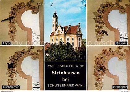 Steinhausen Bad Schussenried Wallfahrtskirche