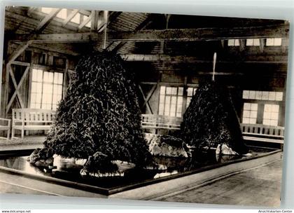 39720267 - Bad Sulza