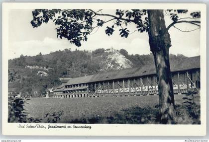 50385488 - Bad Sulza