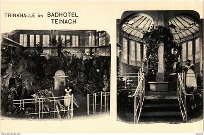 CPA Bad Teinach- Trinkhalle im Badhotel Teinach GERMANY (908169)