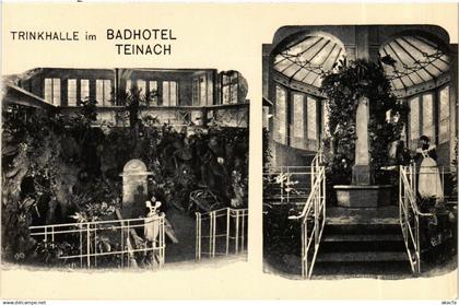 CPA Bad Teinach- Trinkhalle im Badhotel Teinach GERMANY (908214)