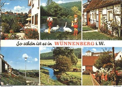 72225381 Wuennenberg Bad Schwaene  Wuennenberg Bad