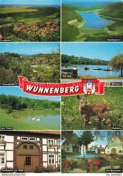 Wuennenberg Panorama Aatalsperre Luftaufnahme Teilansichten Parkanlagen Rehkitz