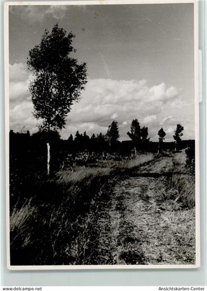 40013447 - Bad Wurzach