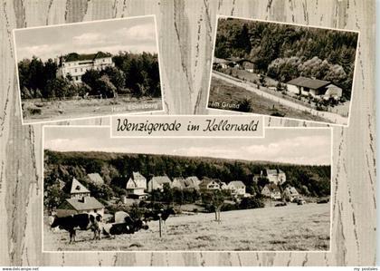 Wenzigerode Bad Zwesten Gaestehaus Haus Ebersberg Im Grund Ortsansicht