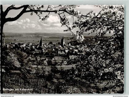 10214845 - Endingen am Kaiserstuhl