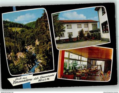 11048349 - Brunnadern