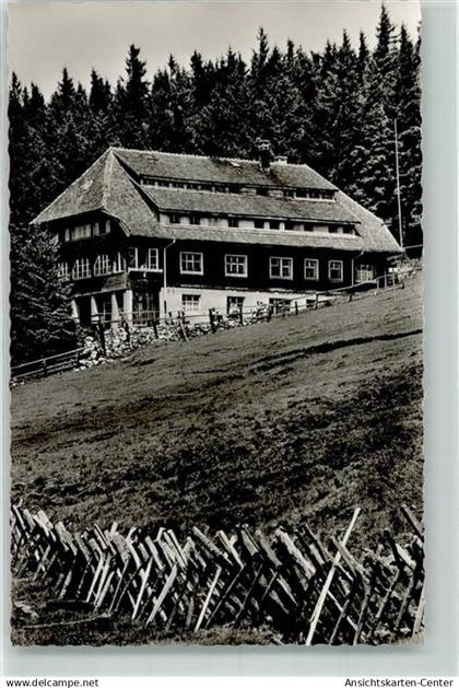 39662018 - Muenstertal , Schwarzwald